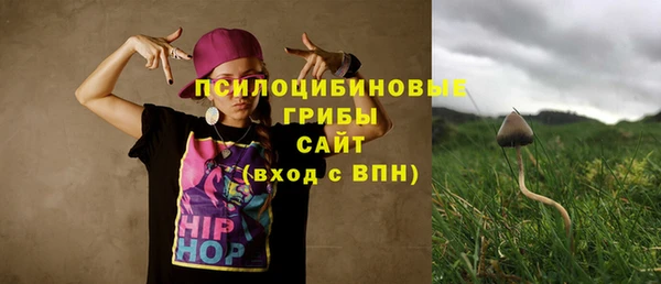 гидропоника Долгопрудный