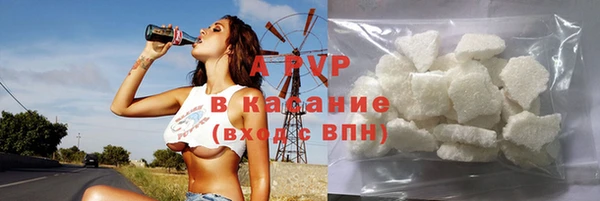 стаф Новый Уренгой