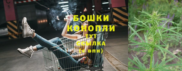 гидропоника Долгопрудный