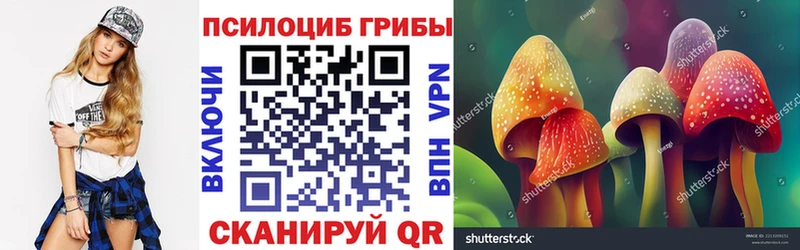 гидра онион  Бобров  Галлюциногенные грибы прущие грибы  как найти  